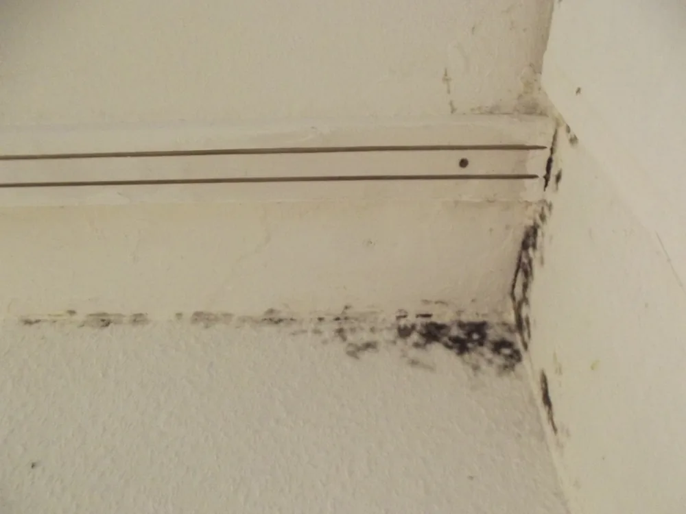 Technician in protective gear removing a mold-damaged wall in a Warren home
